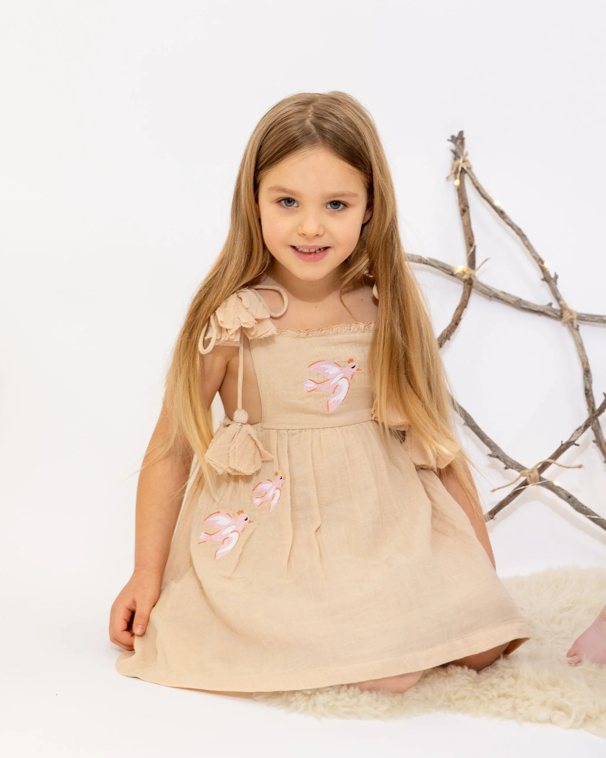 Angela Dress - Maple Sugar Birds