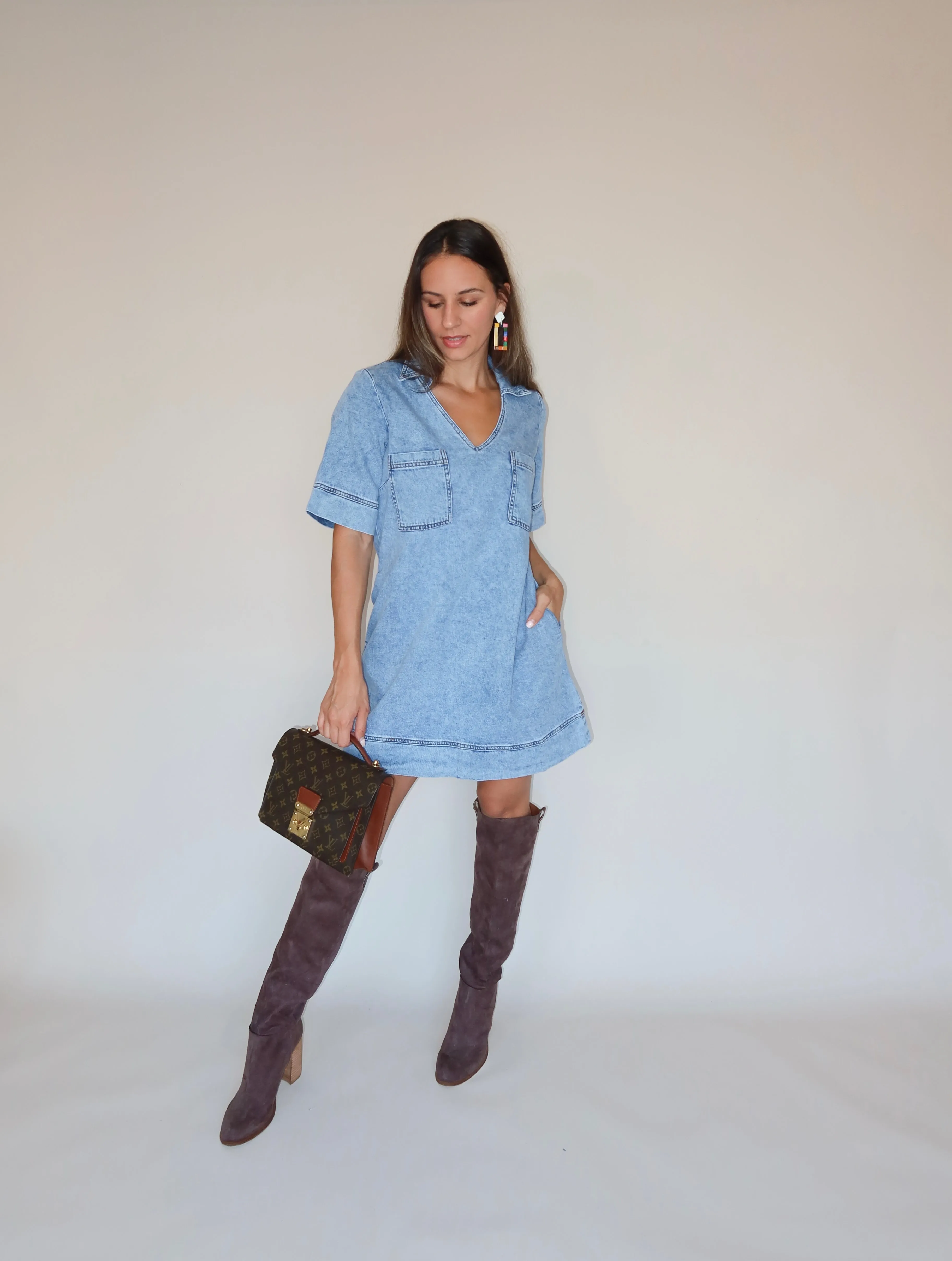 Aster Denim Dress