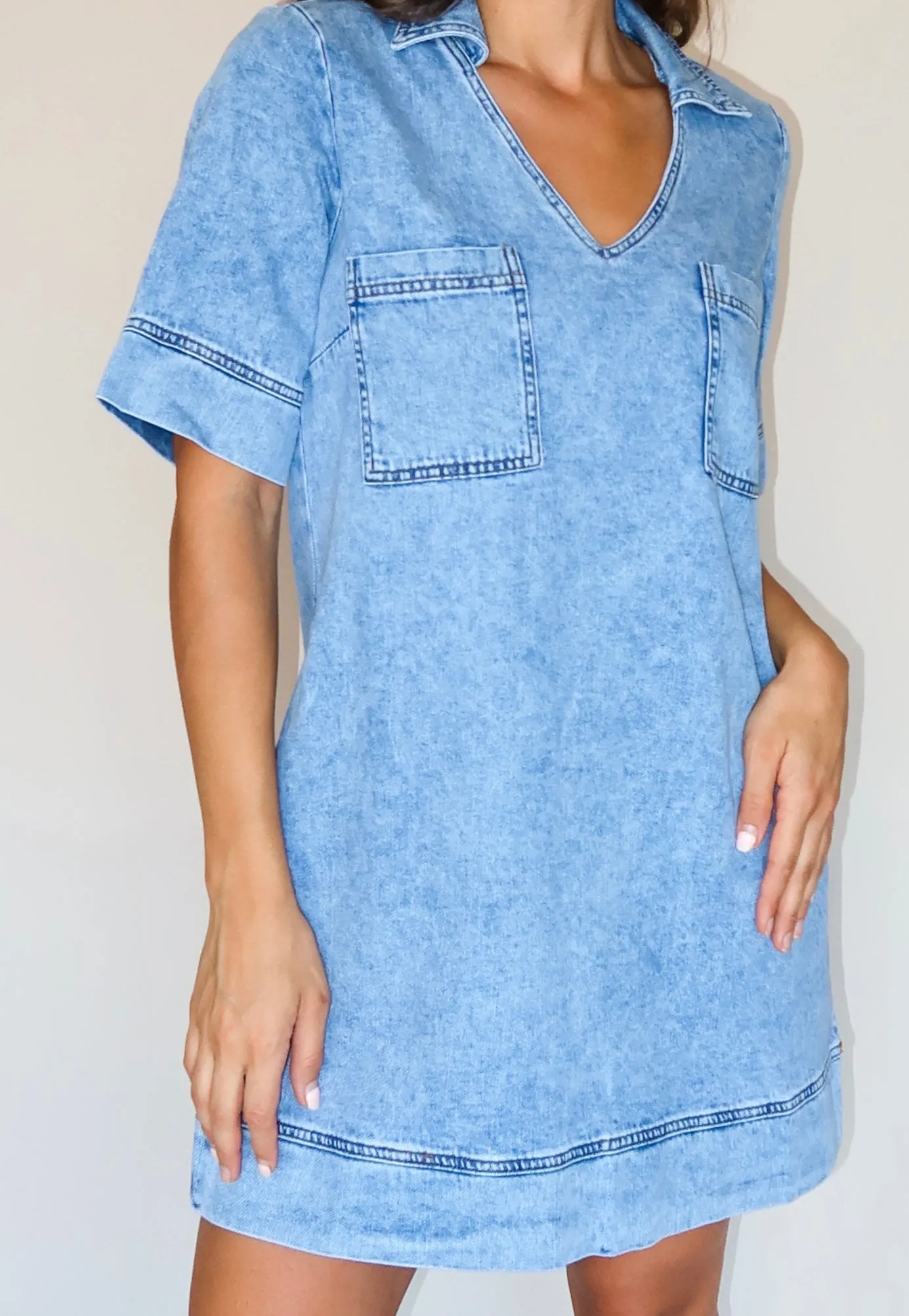 Aster Denim Dress