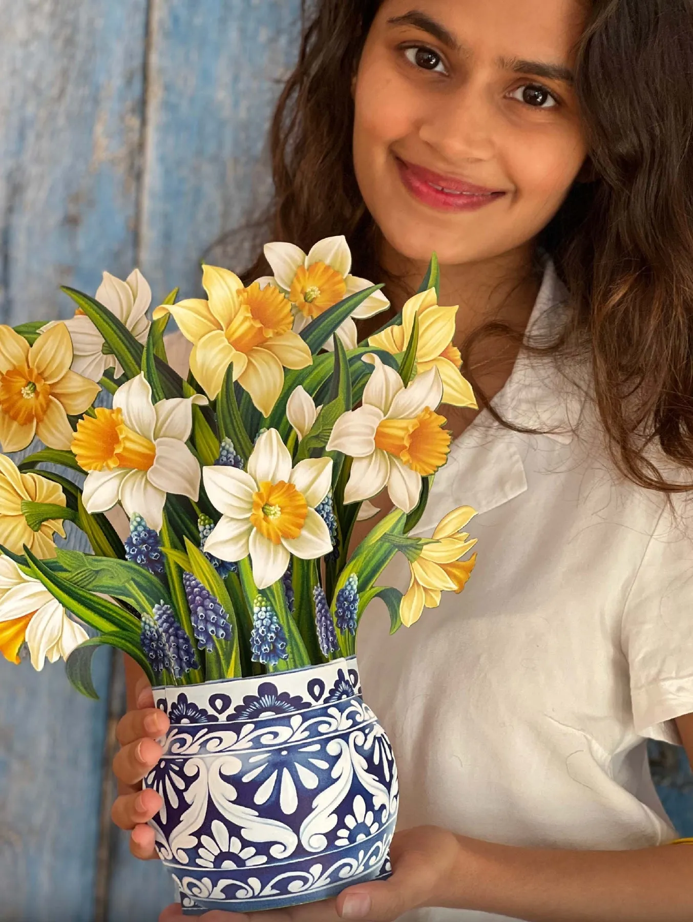 English Daffodils