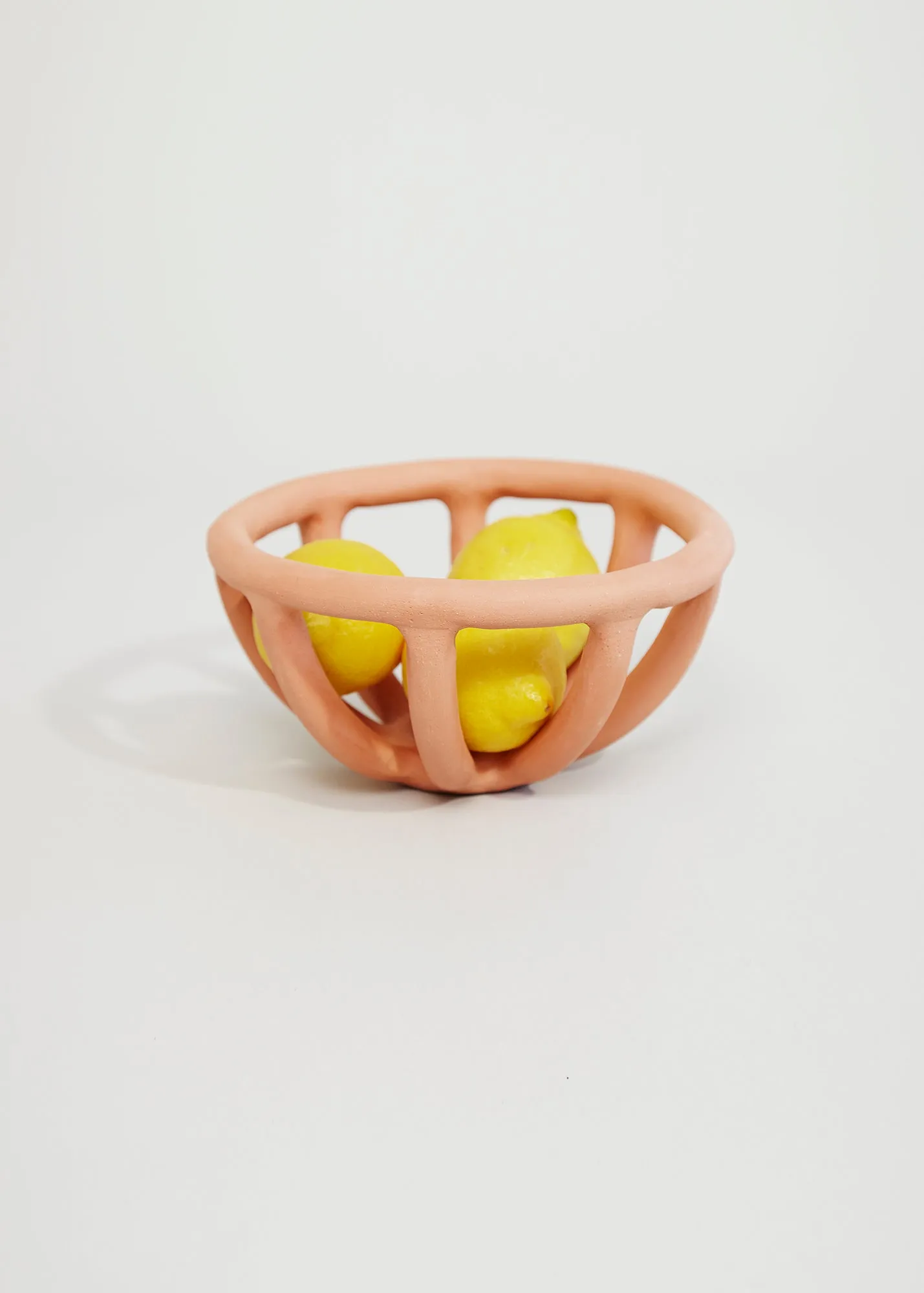 Fruit Bowl · Prong · Terracotta