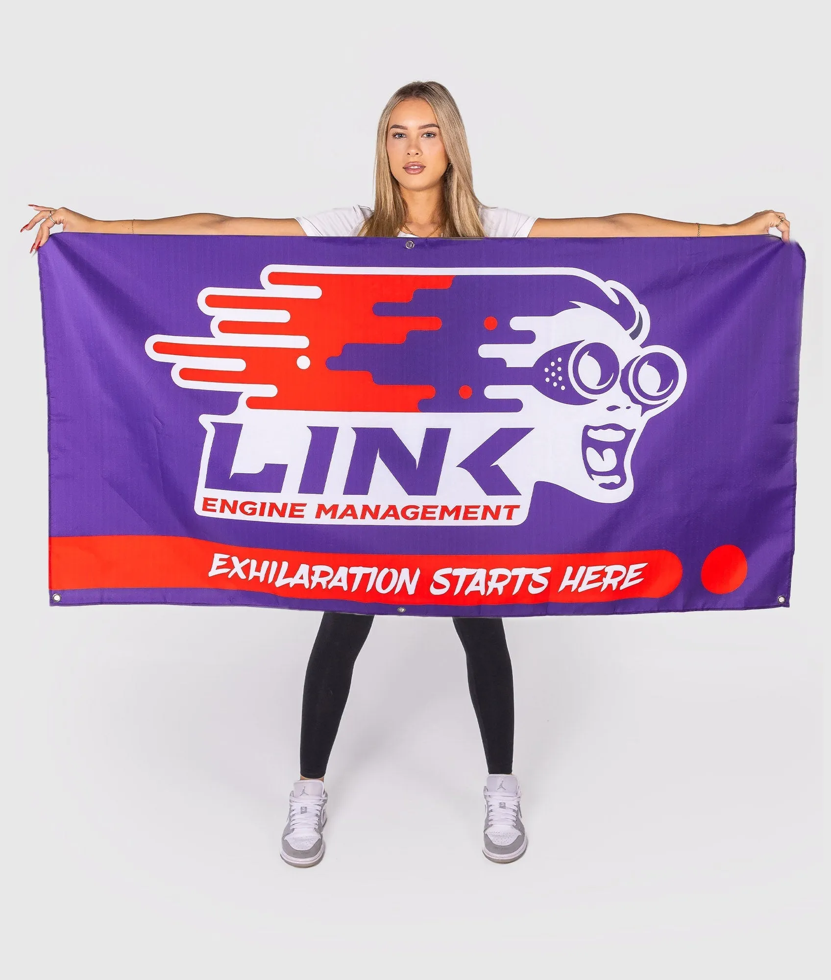 LinkECU Garage Flag