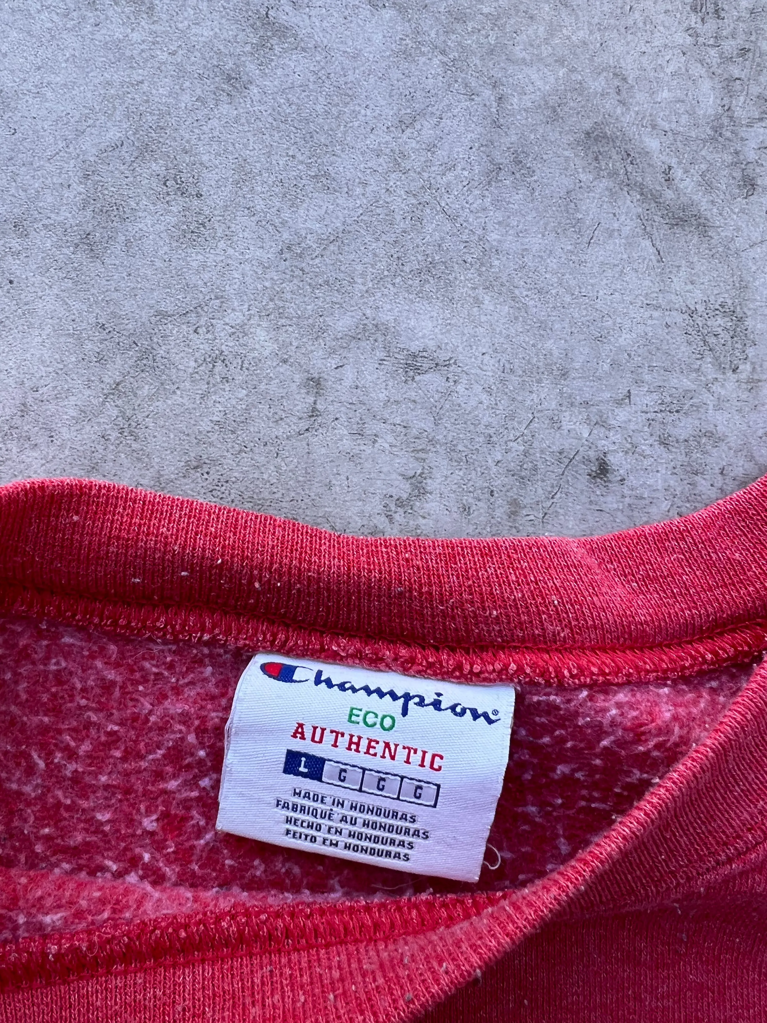 Vintage Champion Crewneck (L)